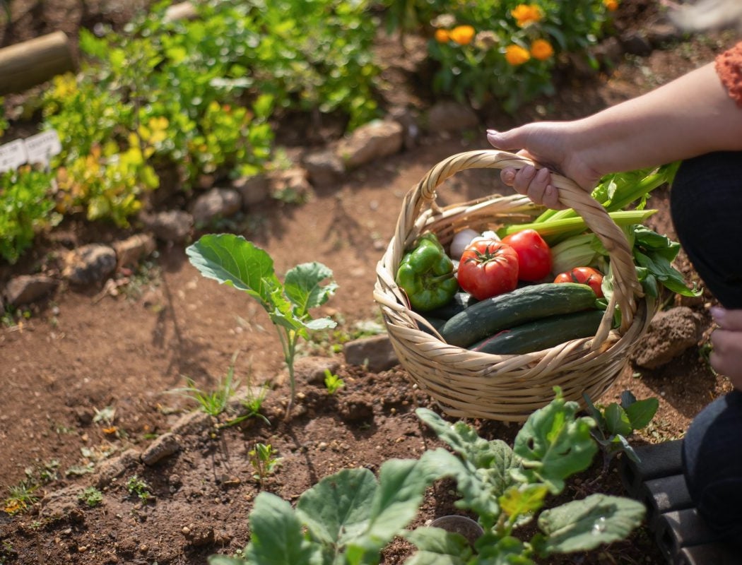 Escape game de l'alimentation durable 1